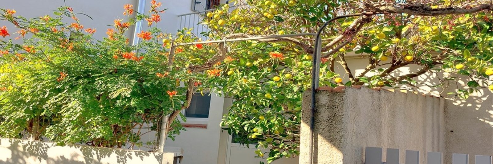 Pitchoun extérieur et terrasse