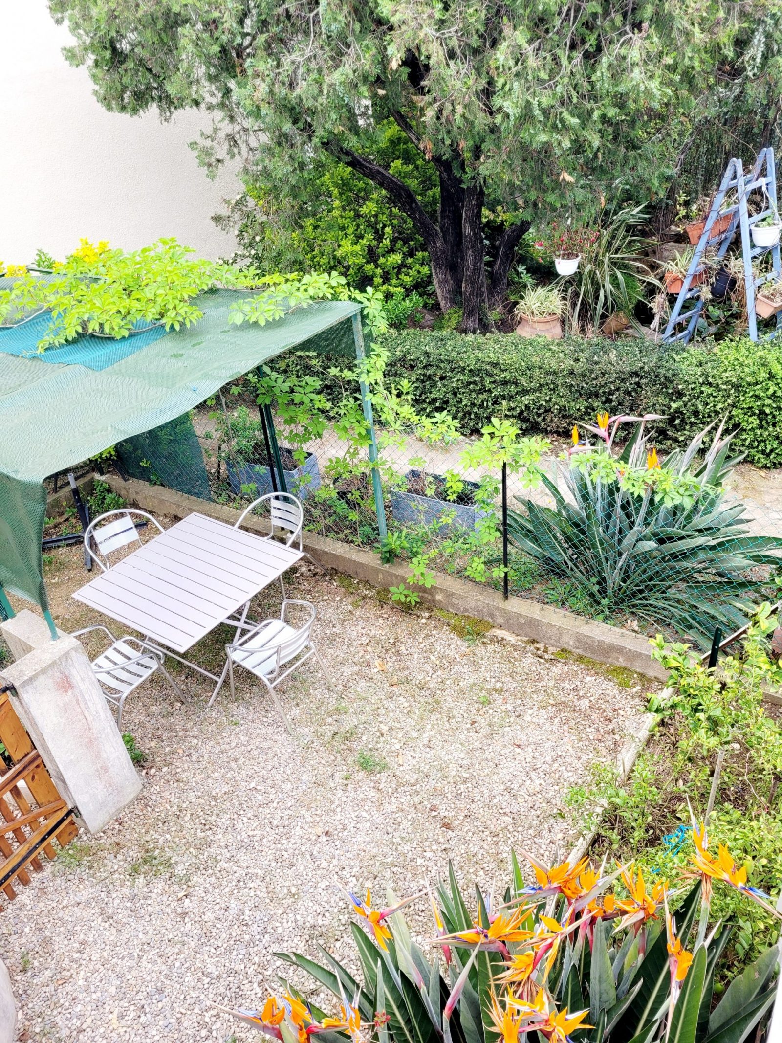 Manon terrasse