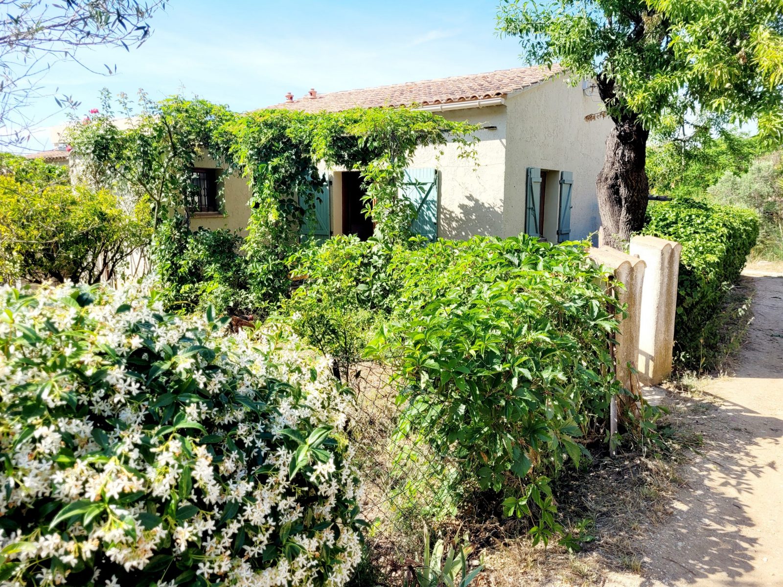 Extérieur du gîte Amandine et chemin d'accès