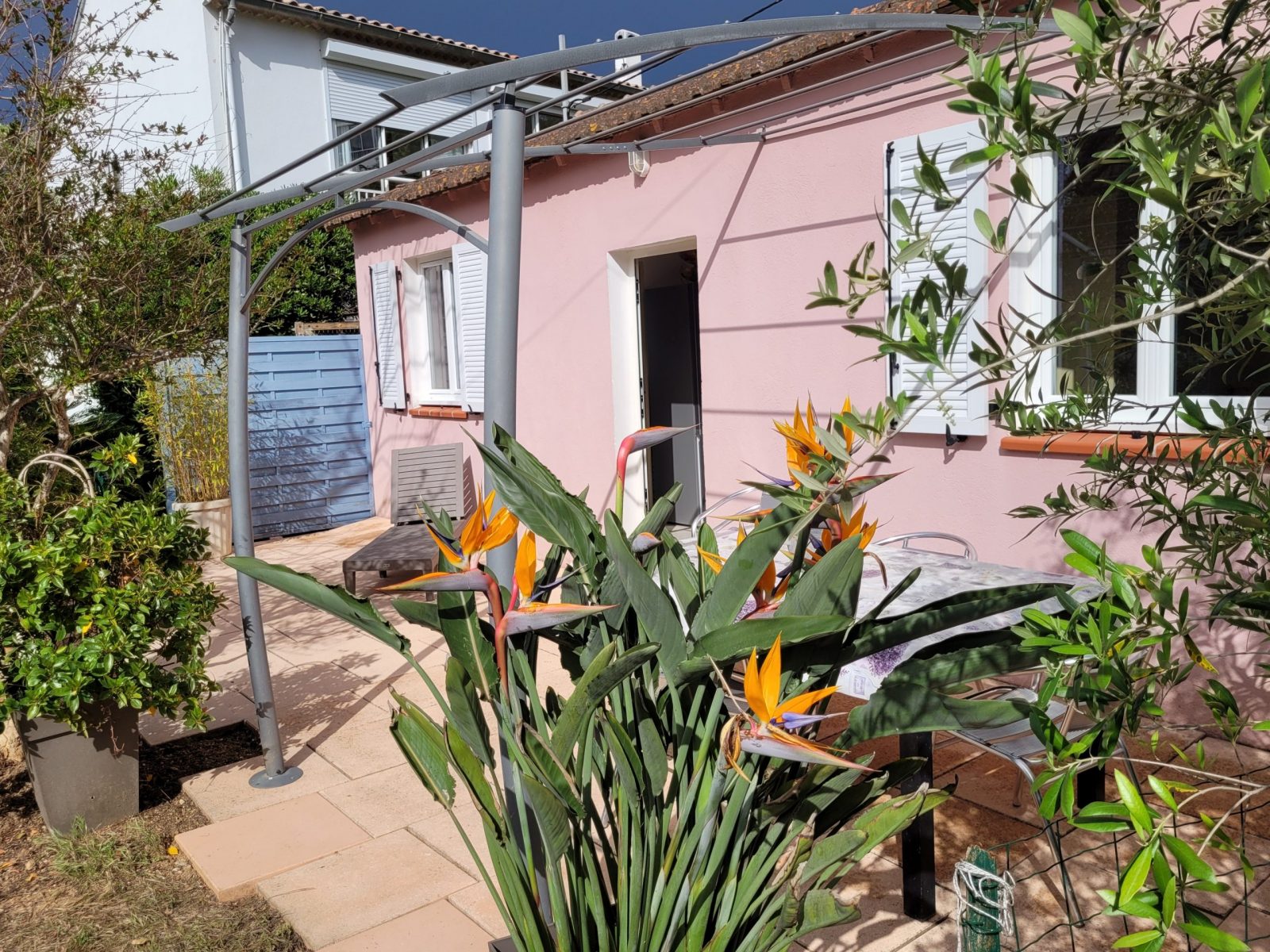 Jasmin terrasse