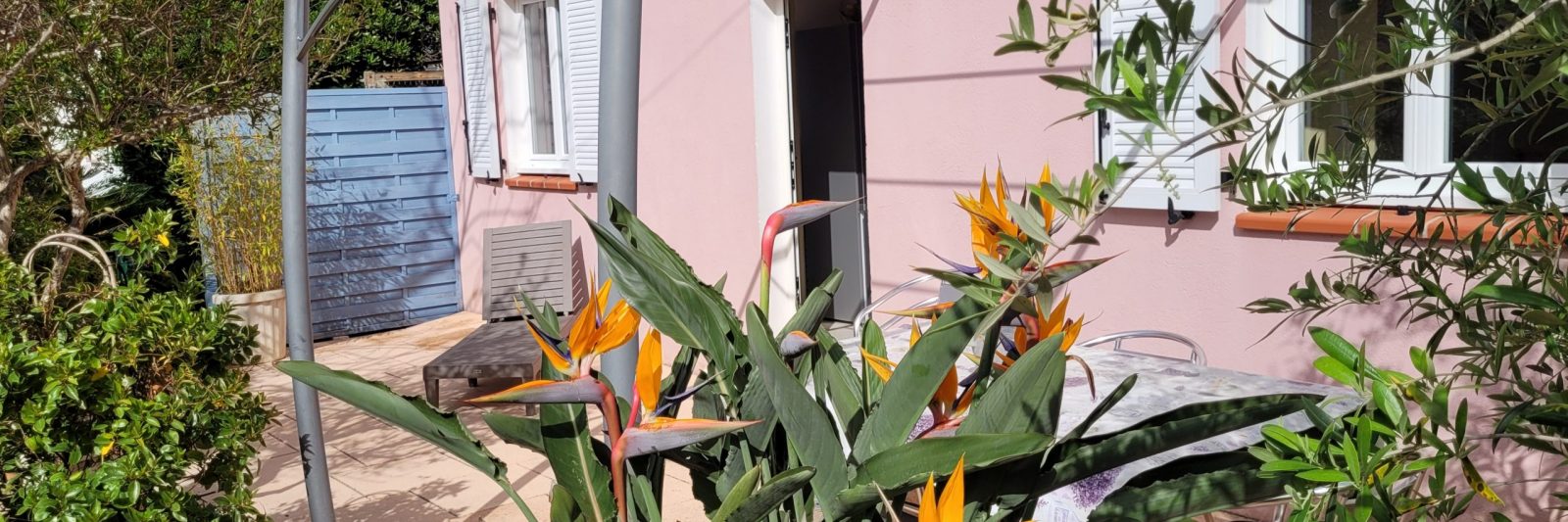 Jasmin terrasse