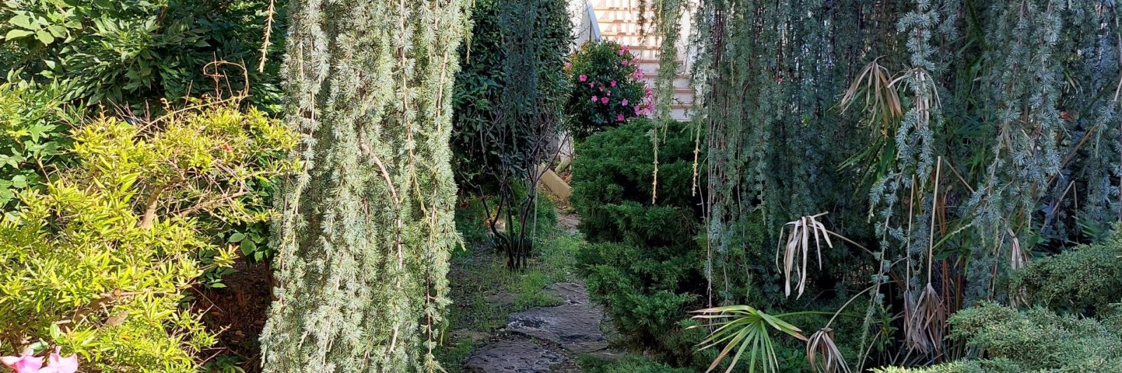 Allée calme et arborée à l'entrée du domaine