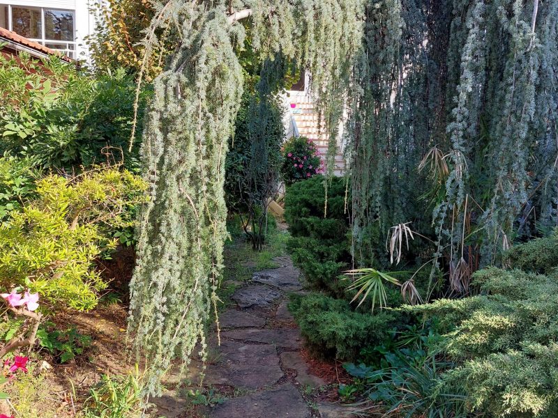 Allée calme et arborée à l'entrée du domaine