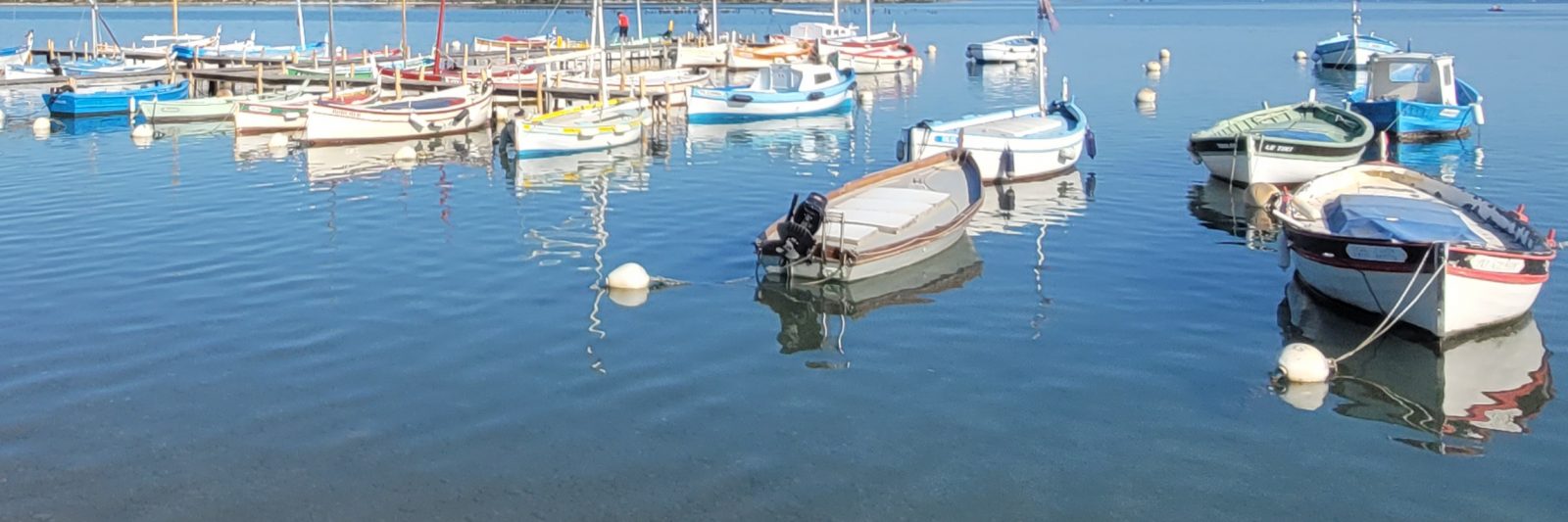 Lagune du Brusc