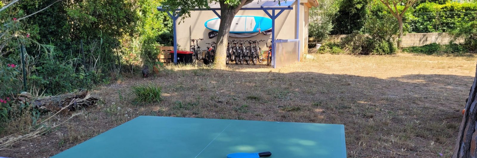 ping pong
