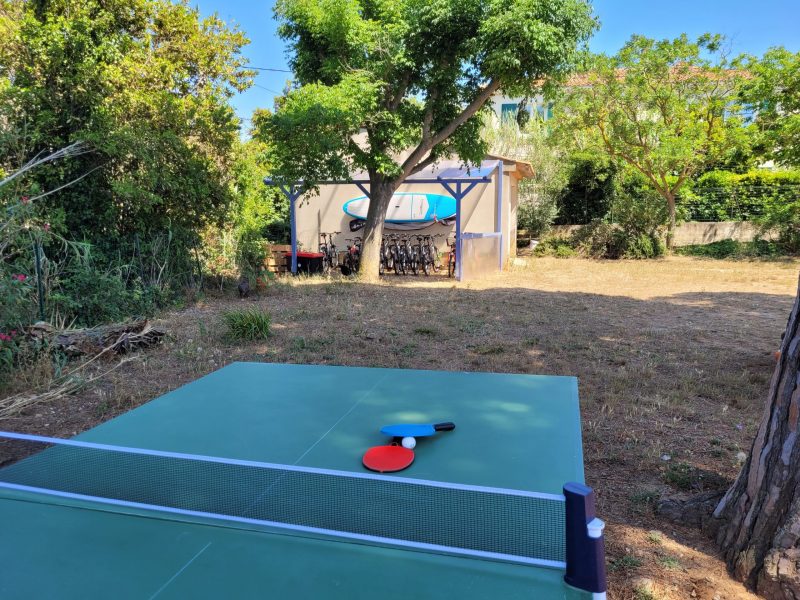 ping pong