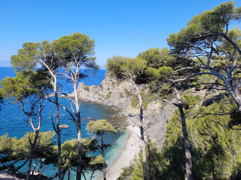Plage Mont Salva