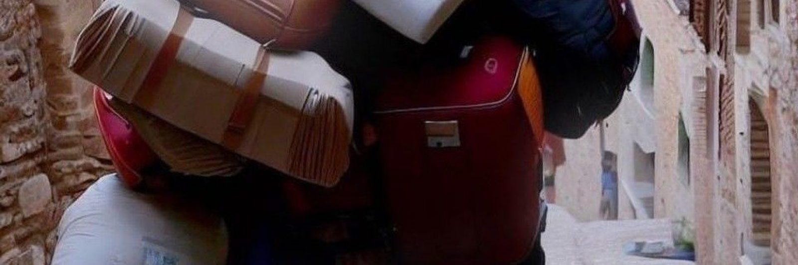 valise